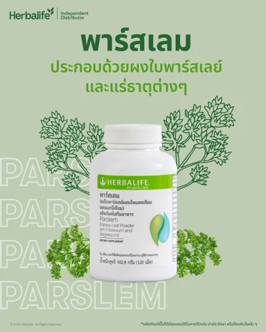 อินโฟกราฟิกลักษณะใบพาร์สเลย์ ขนาดใบและความยาวก้านใบ (2/2)