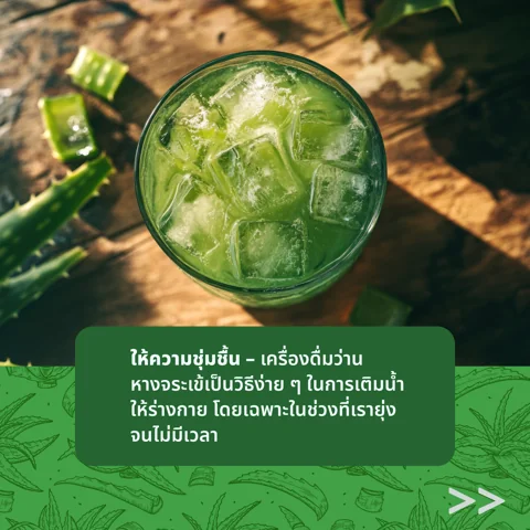 แก้วเครื่องดื่มใสใส่น้ำแข็ง วางข้างใบว่านหางจระเข้ผ่าครึ่ง บนโต๊ะไม้ริมชายหาด (2/6)