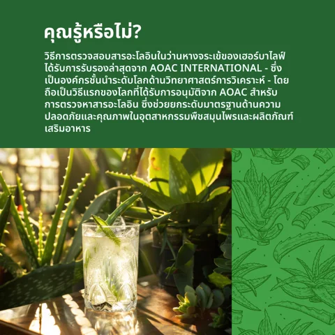 แก้วเครื่องดื่มใสใส่น้ำแข็ง วางข้างใบว่านหางจระเข้ผ่าครึ่ง บนโต๊ะไม้ริมชายหาด (6/6)