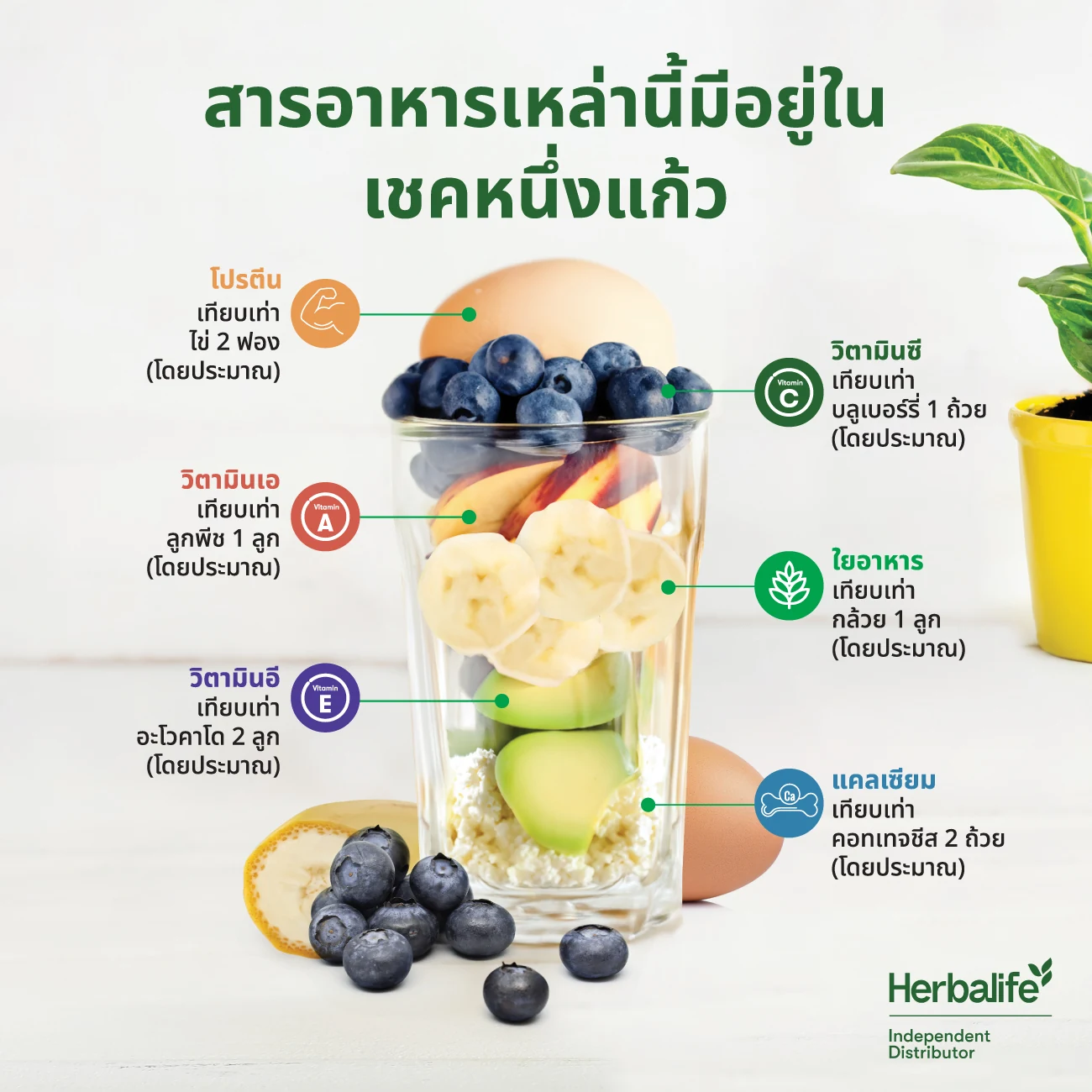 อินโฟกราฟิกเปรียบเทียบสารอาหารในเชคหนึ่งแก้ว