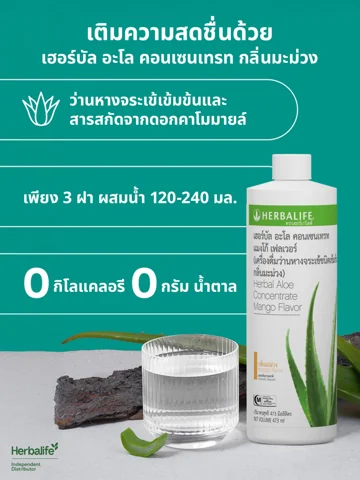 แก้วเครื่องดื่มใสใส่น้ำแข็งและมะนาวฝาน วางข้างทางเดินในสวน (3/3)