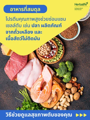ภาพกราฟิกตับเรืองแสงลอยอยู่เหนือมือของบุคลากรทางการแพทย์ในชุดกาวน์ (3/4)