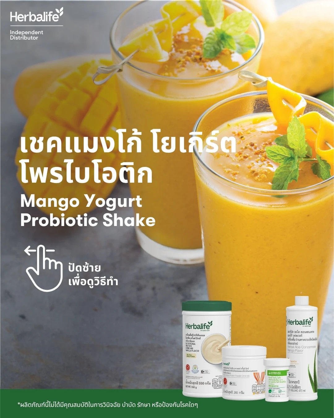 สูตรเชคแมงโก้ โยเกิร์ต โพรไบโอติก