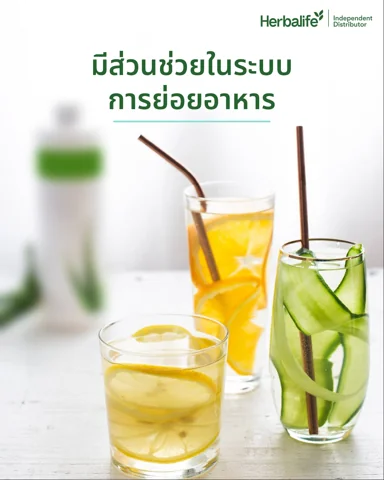 แถบใบว่านหางจระเข้สีเขียวในน้ำใสที่มีฟองอากาศ (2/5)