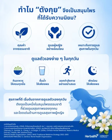 อินโฟกราฟิกส่วนต่าง ๆ ของสมุนไพรจีน ได้แก่ ดอก ราก ผงสกัด และใบ พร้อมดอกไม้สีขาว (2/2)