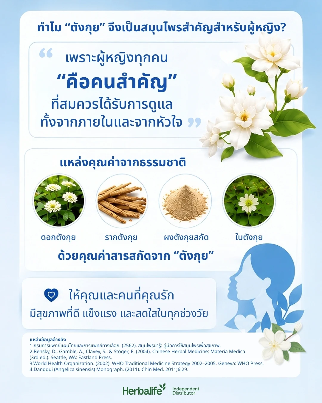 อินโฟกราฟิกส่วนต่าง ๆ ของสมุนไพรจีน ได้แก่ ดอก ราก ผงสกัด และใบ พร้อมดอกไม้สีขาว