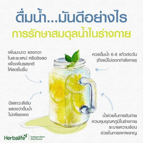 แถบใบว่านหางจระเข้สีเขียวในน้ำใสที่มีฟองอากาศ (5/5)