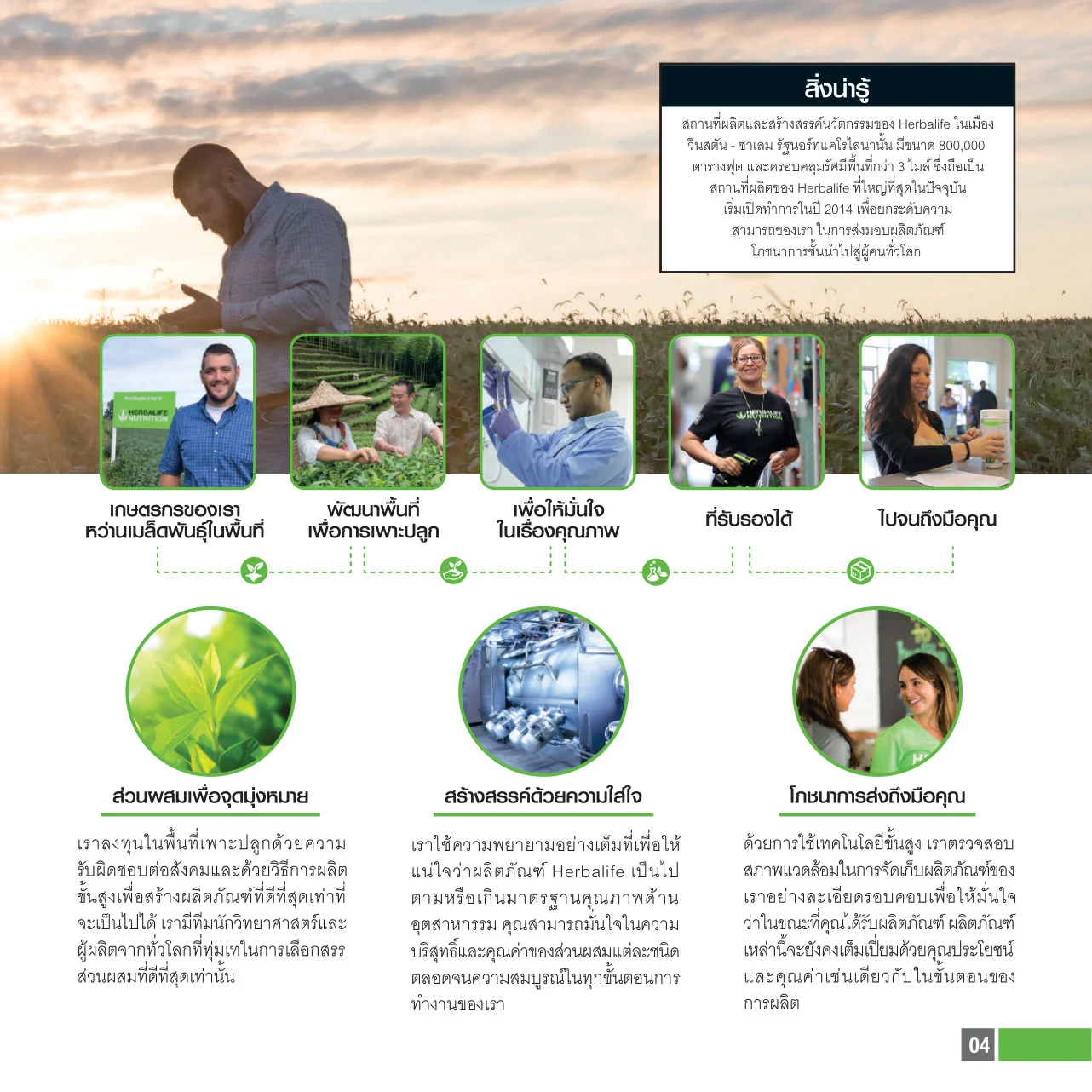 A farm field at sunset, production steps, scientists and community activities
