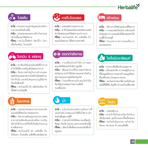 Circular diagram of daily nutrient proportions and healthy-habit elements (2/2)