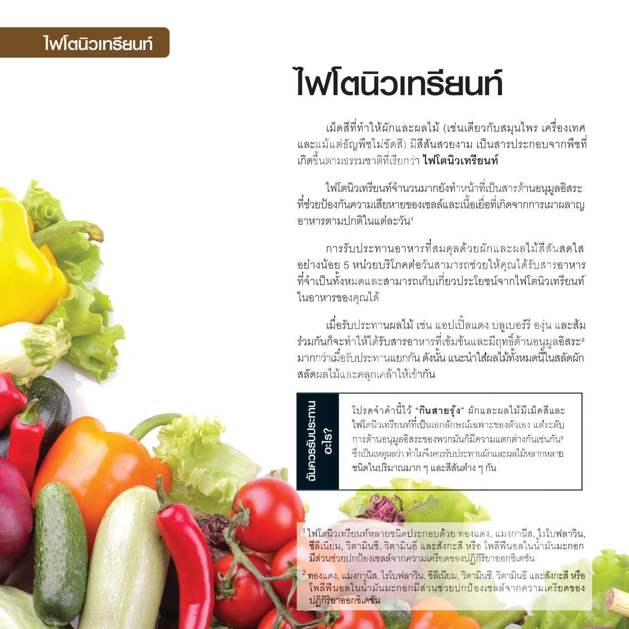 พริกหวาน มะเขือเทศ พริก แตงกวา และผักสลัดหลากสี
