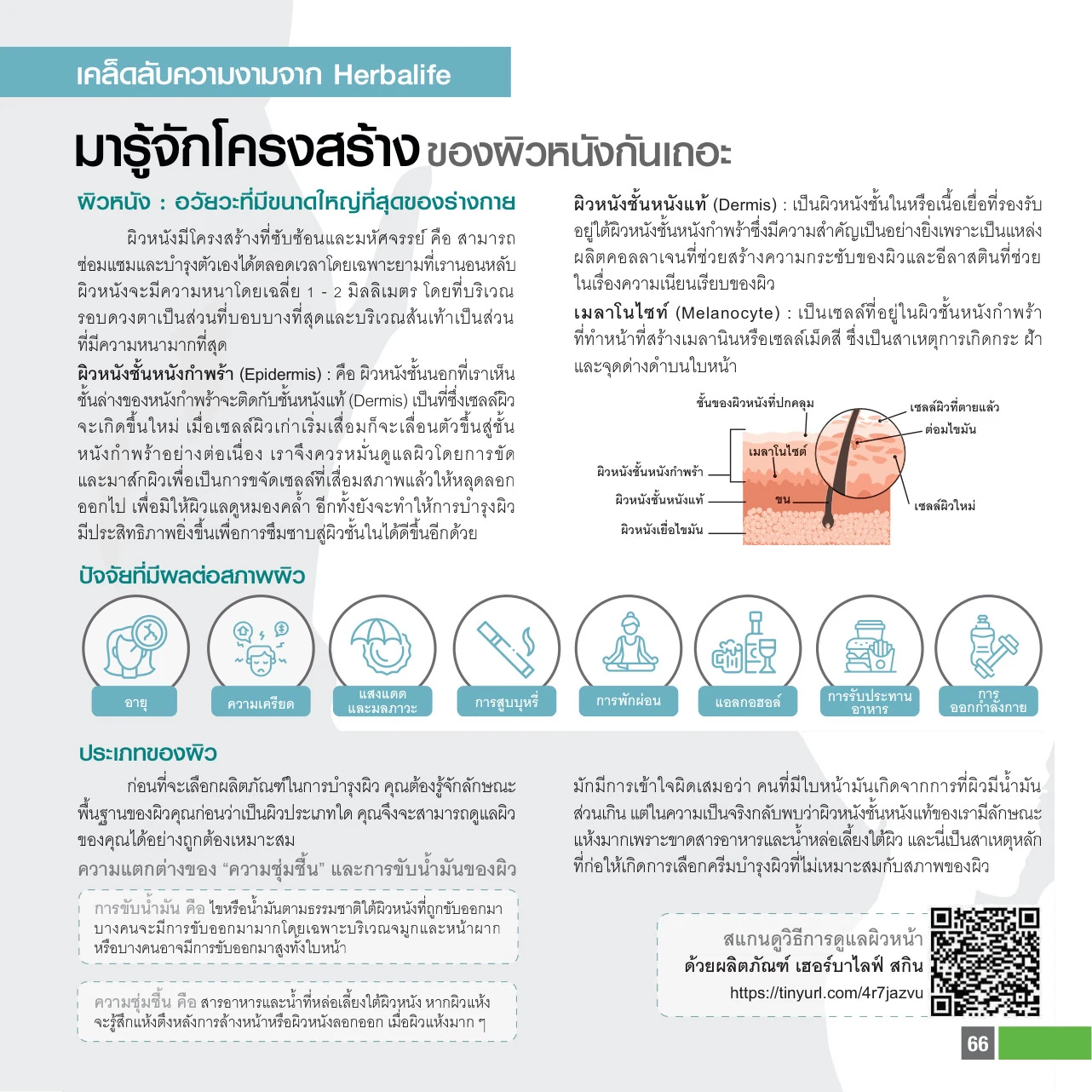 Illustration of skin layers with icons for factors that affect skin