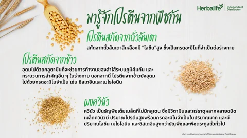Peas, quinoa and brown rice with the words 'three plant-based protein sources' (2/2)