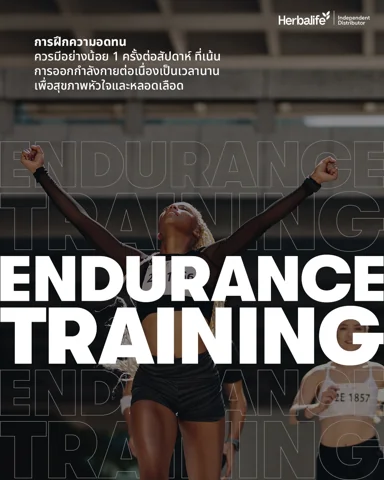 People doing different workouts: stretching, cycling, weightlifting and running (5/5)
