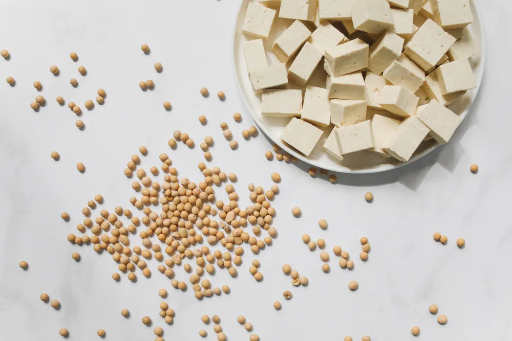Cubed tofu on a white plate with soybeans scattered on the table